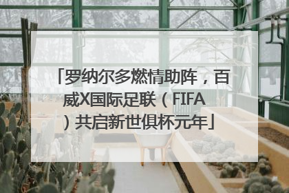 罗纳尔多燃情助阵，百威X国际足联（FIFA）共启新世俱杯元年