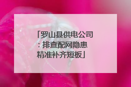 罗山县供电公司：排查配网隐患 精准补齐短板