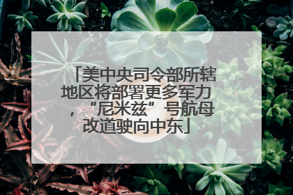 美中央司令部所辖地区将部署更多军力，“尼米兹”号航母改道驶向中东