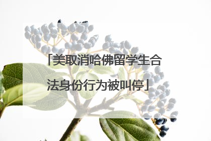 美取消哈佛留学生合法身份行为被叫停