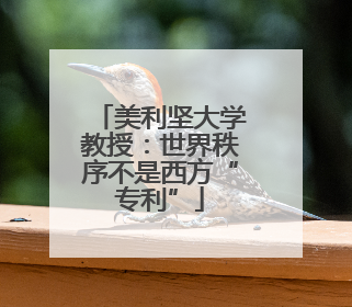 美利坚大学教授：世界秩序不是西方“专利”