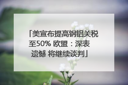 美宣布提高钢铝关税至50% 欧盟：深表遗憾 将继续谈判