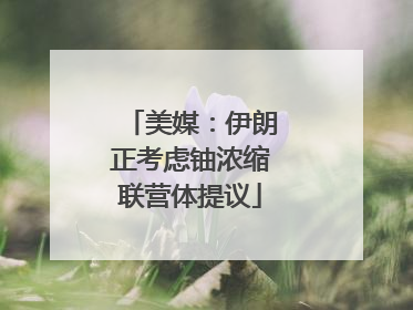 美媒：伊朗正考虑铀浓缩联营体提议