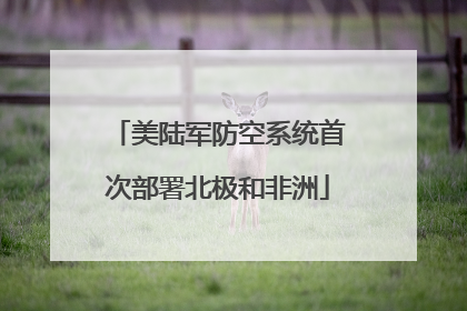 美陆军防空系统首次部署北极和非洲
