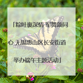 粽叶裹深情 军舞颂同心 无锡惠山区长安街道举办端午主题活动
