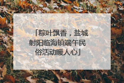 粽叶飘香，盐城射阳临海镇端午民俗活动暖人心