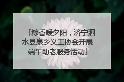 粽香暖夕阳，济宁泗水县泉乡义工协会开展端午助老服务活动