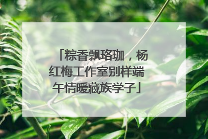 粽香飘珞珈，杨红梅工作室别样端午情暖藏族学子
