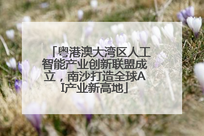 粤港澳大湾区人工智能产业创新联盟成立，南沙打造全球AI产业新高地