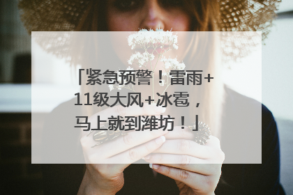 紧急预警！雷雨+11级大风+冰雹，马上就到潍坊！