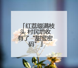 红荔缀满枝头 村民增收有了“甜蜜密码”