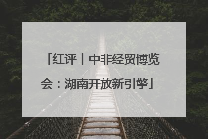 红评丨中非经贸博览会：湖南开放新引擎