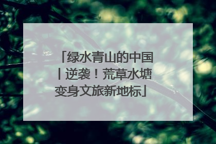 绿水青山的中国丨逆袭！荒草水塘变身文旅新地标