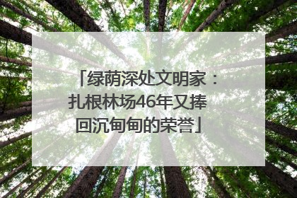 绿荫深处文明家：扎根林场46年又捧回沉甸甸的荣誉