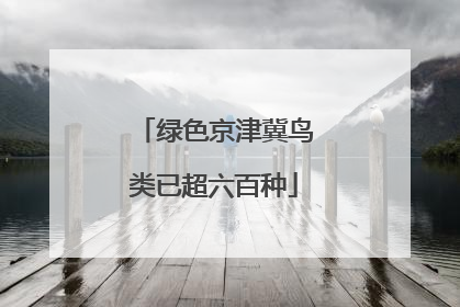 绿色京津冀鸟类已超六百种