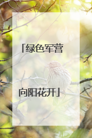 绿色军营 向阳花开