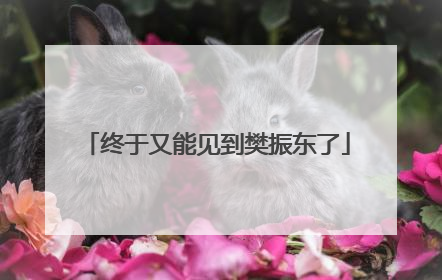 终于又能见到樊振东了