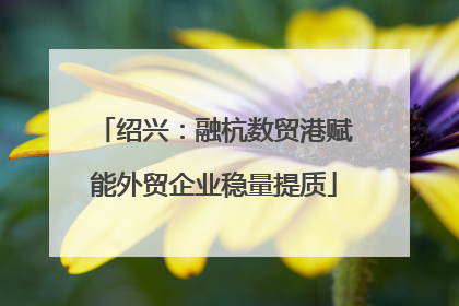 绍兴：融杭数贸港赋能外贸企业稳量提质