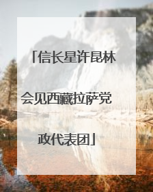 信长星许昆林会见西藏拉萨党政代表团