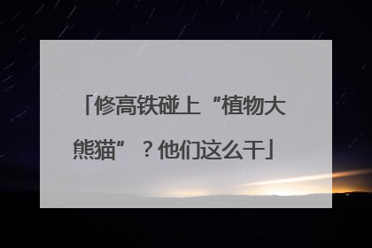 修高铁碰上“植物大熊猫”？他们这么干