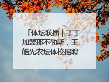 体坛联播｜丁丁加盟那不勒斯，王皓先农坛体校招聘笔试第一