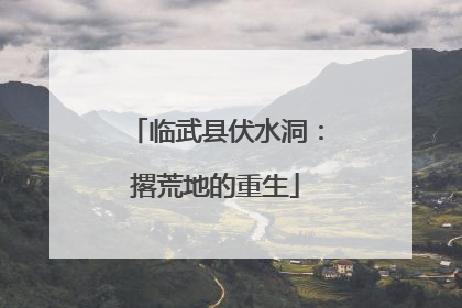 临武县伏水洞：撂荒地的重生