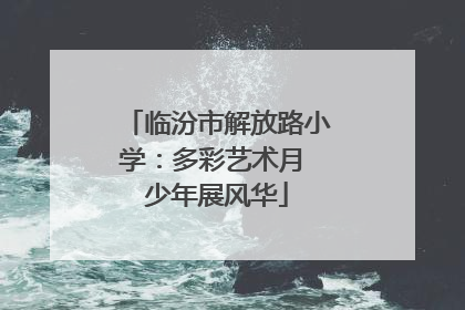临汾市解放路小学：多彩艺术月 少年展风华