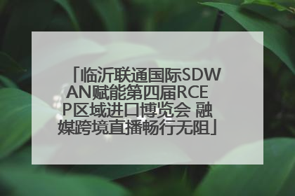 临沂联通国际SDWAN赋能第四届RCEP区域进口博览会 融媒跨境直播畅行无阻