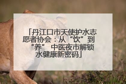丹江口市天使护水志愿者协会：从“饮”到“养” 中医夜市解锁水健康新密码