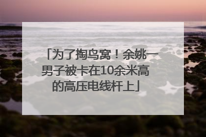 为了掏鸟窝！余姚一男子被卡在10余米高的高压电线杆上