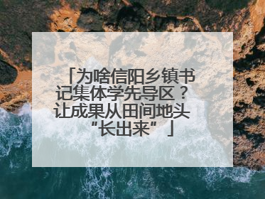 为啥信阳乡镇书记集体学先导区？让成果从田间地头“长出来”