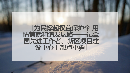 为民撑起权益保护伞 用情铺就和谐发展路——记全国先进工作者、新区项目建设中心干部卢小勇