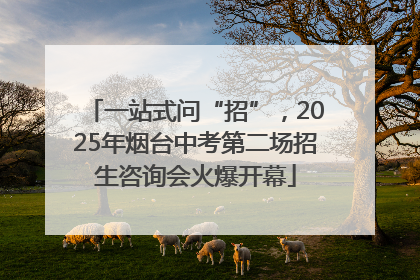 一站式问“招”，2025年烟台中考第二场招生咨询会火爆开幕