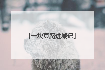 一块豆腐进城记