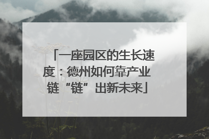 一座园区的生长速度：德州如何靠产业链“链”出新未来