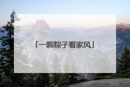 一颗粽子看家风