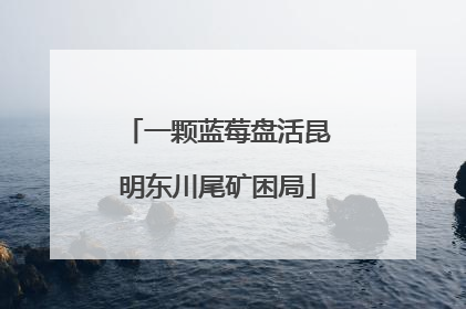 一颗蓝莓盘活昆明东川尾矿困局