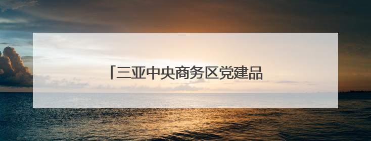 三亚中央商务区党建品牌创建工作正式启动