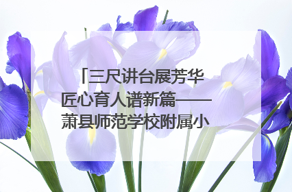 三尺讲台展芳华 匠心育人谱新篇——萧县师范学校附属小学第十三届班主任基本功大赛圆满举办