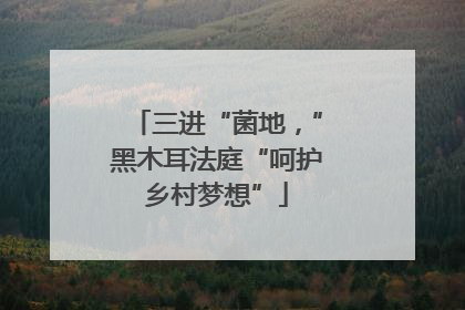 三进“菌地，”黑木耳法庭“呵护乡村梦想”