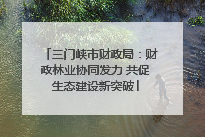 三门峡市财政局：财政林业协同发力 共促生态建设新突破