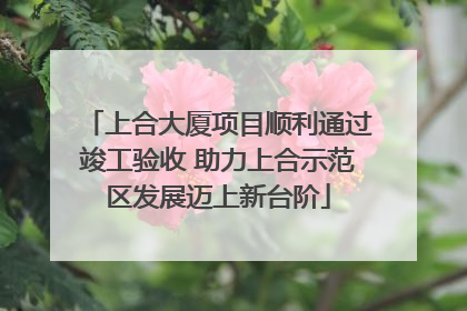 上合大厦项目顺利通过竣工验收 助力上合示范区发展迈上新台阶