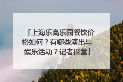 上海乐高乐园餐饮价格如何？有哪些演出与娱乐活动？记者探营