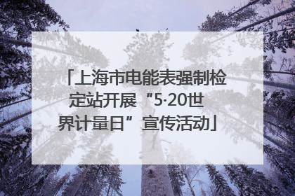 上海市电能表强制检定站开展“5·20世界计量日”宣传活动
