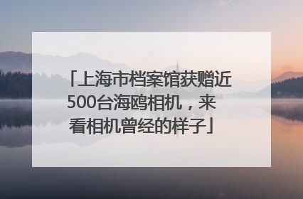 上海市档案馆获赠近500台海鸥相机，来看相机曾经的样子