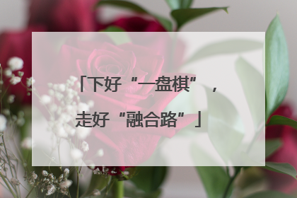 下好“一盘棋”，走好“融合路”