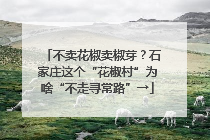 不卖花椒卖椒芽？石家庄这个“花椒村”为啥“不走寻常路”→