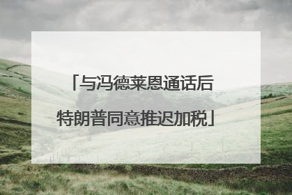 与冯德莱恩通话后 特朗普同意推迟加税