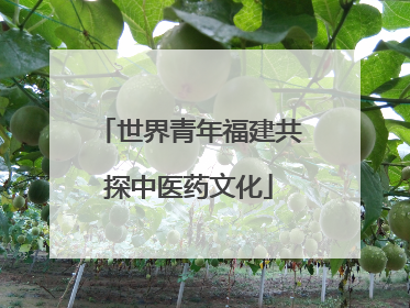 世界青年福建共探中医药文化