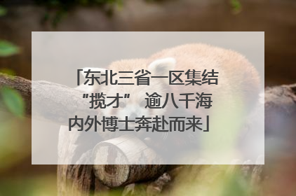 东北三省一区集结“揽才” 逾八千海内外博士奔赴而来